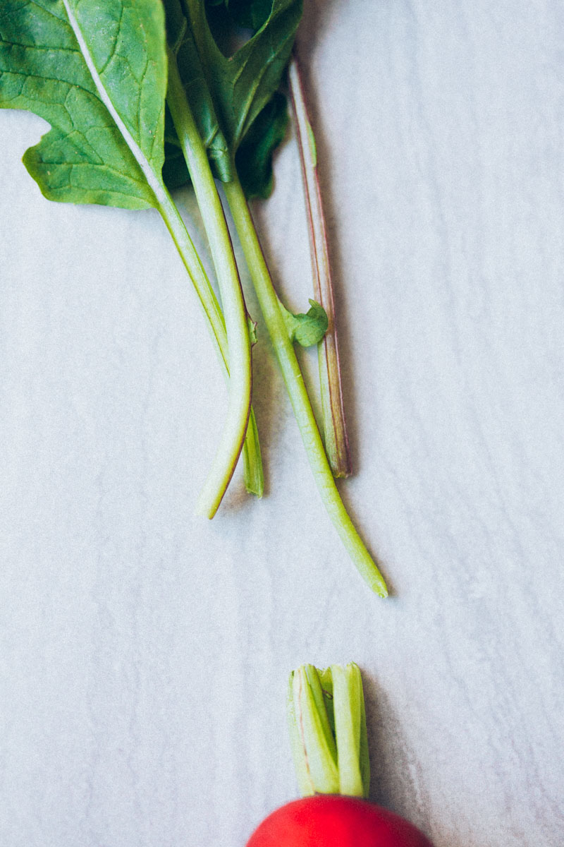 pate-de-hojas-de-rabano-veggieboogie-3